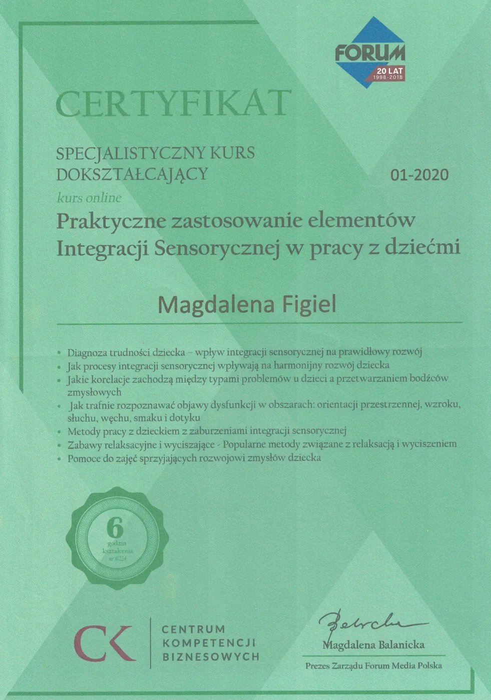 Certyfikat – Integracja Sensoryczna w pracy z dziećmi – Magdalena Figiel, fizjoterapeuta dziecięcy Gorzów Wlkp.